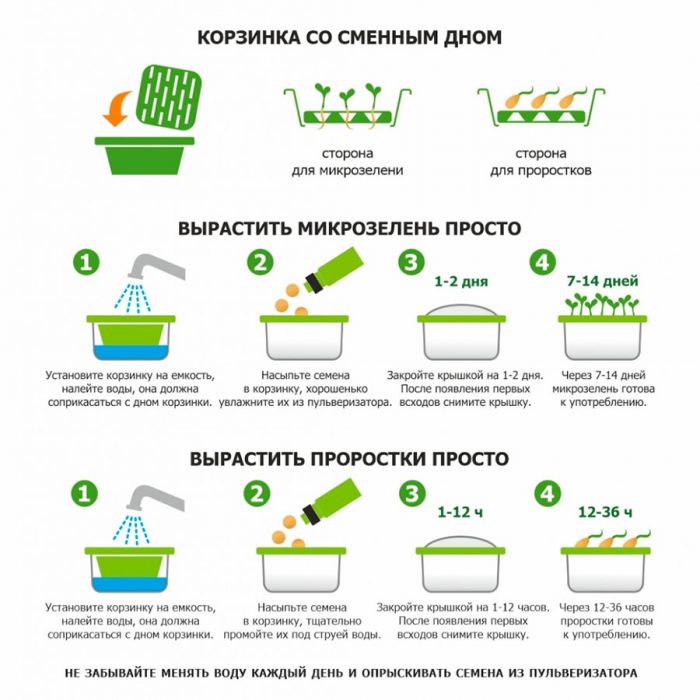 Подарочный набор для проращивания микрозелени: проращиватель, зеленый, красный